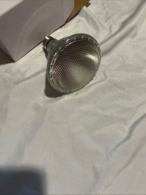 Clear Glass PAR30 Reflector Bulb - Silver Finish
